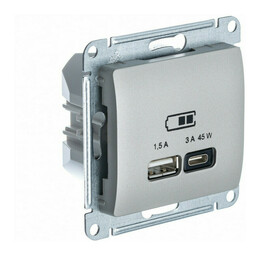 Розетка USB+USB type C Systeme Electric GLOSSA, скрытый монтаж, платина, GSL001229