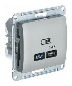 Розетка USB type C Systeme Electric GLOSSA, скрытый монтаж, платина, GSL001227